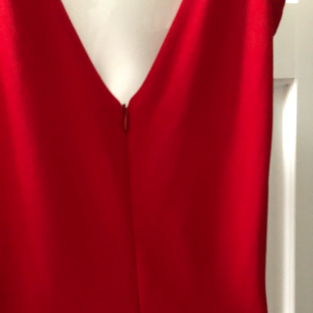 Elegant Red Sleeveless Dress - Picture 5 of 5